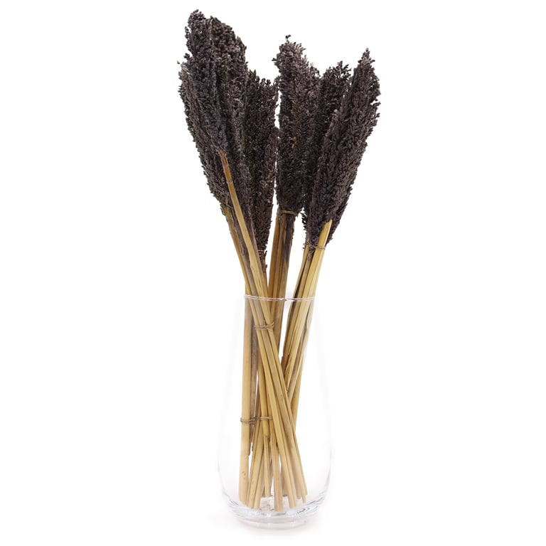 Cantal Grass Bunch - Black Natural Decor Accent