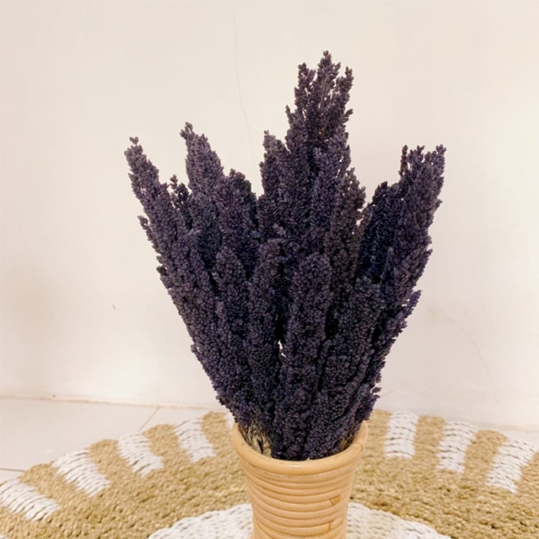 Cantal Grass Bunch - Black Natural Decor Accent