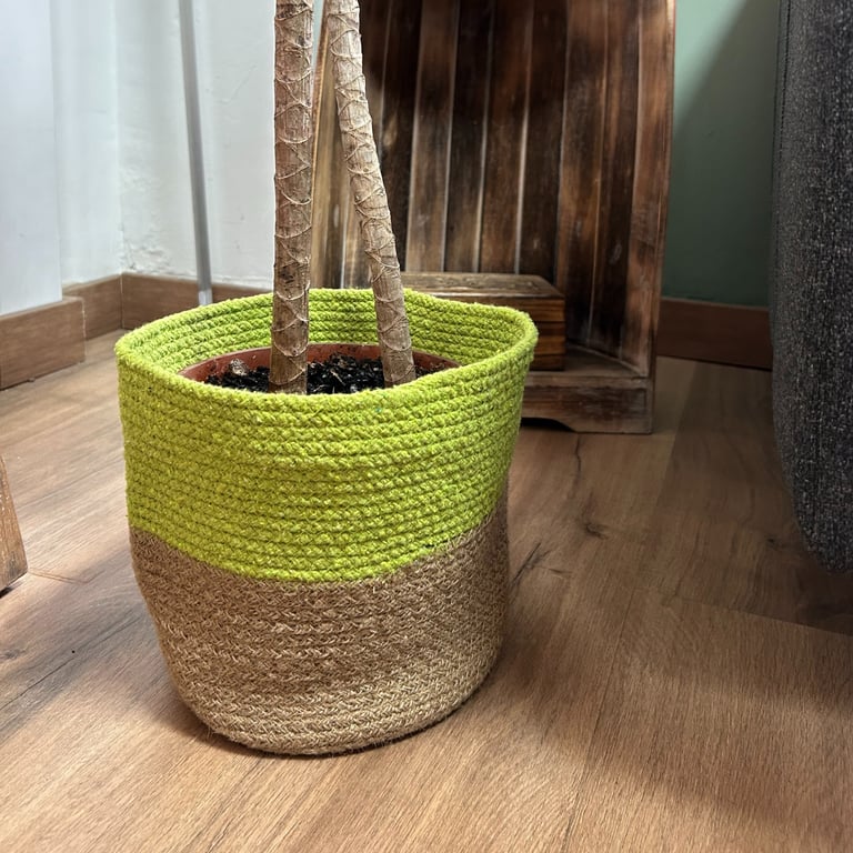 3 Pistachio Cotton Rope Storage Baskets - Durable & Stylish