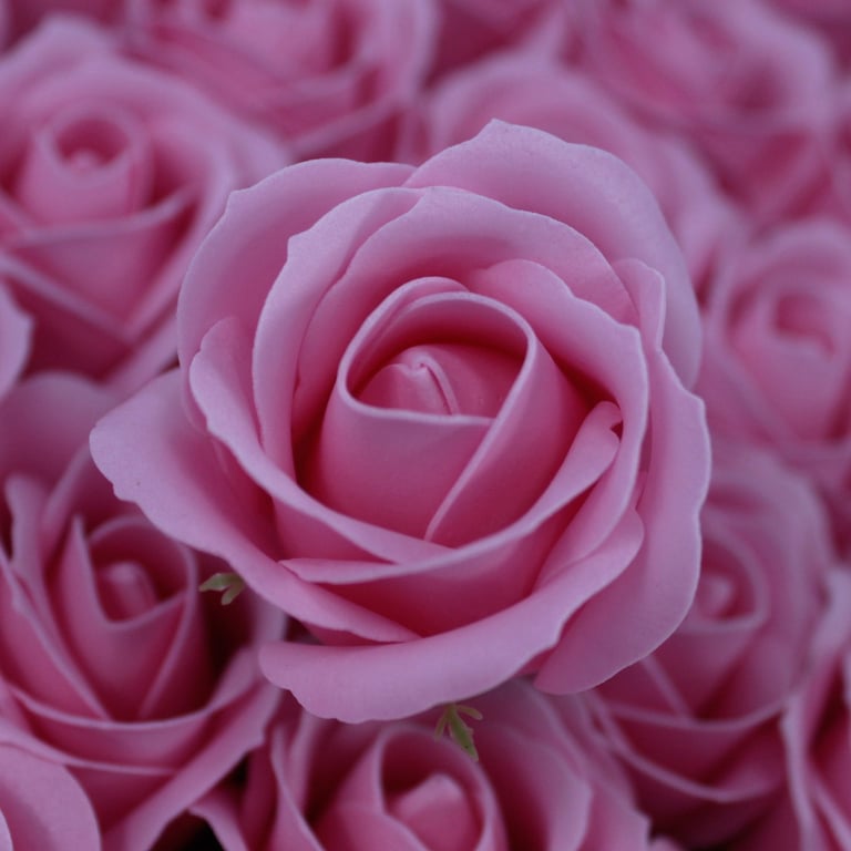 Handmade Rose Soap Flowers - Blush, Decorative Home and Bathroom Decoration