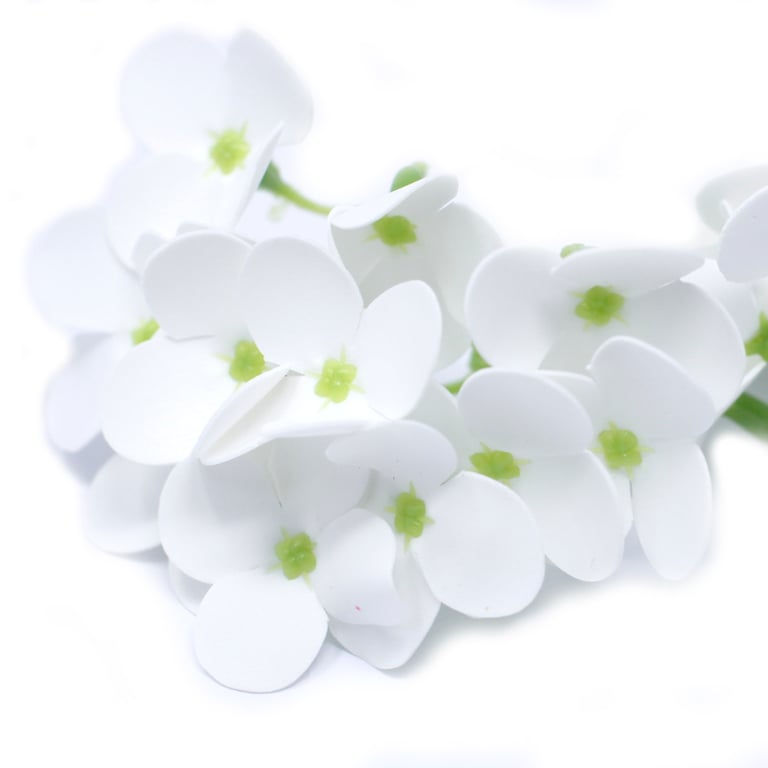 Handmade Hyacinth Bean Craft Soap Flowers - Natural White Blooms