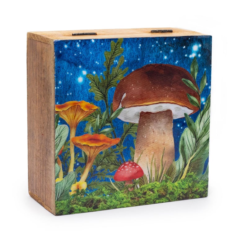 15x17.5x8cm Mushroom Design Teal Big Square Storage Box - Perfect Space for Mushrooms and More