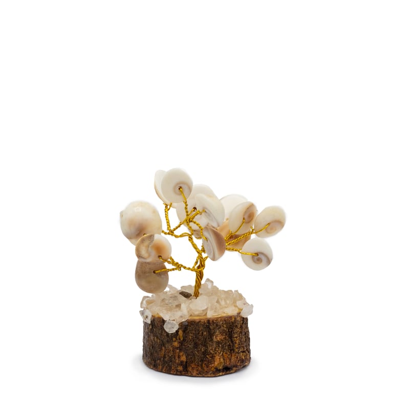 Gomati Chakra Circle Stone Tree with Rudraksha - 15 Spiritual Stones for Home Decor and Meditation