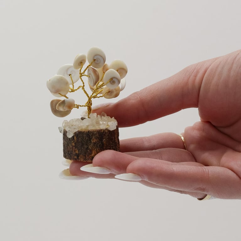 Gomati Chakra Circle Stone Tree with Rudraksha - 15 Spiritual Stones for Home Decor and Meditation
