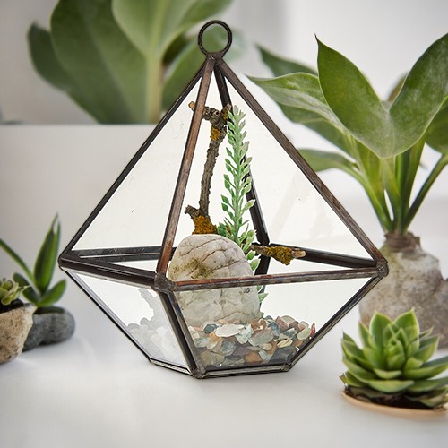 Small Glass Terrarium - Indoor Garden Container for Plants and Microgreens