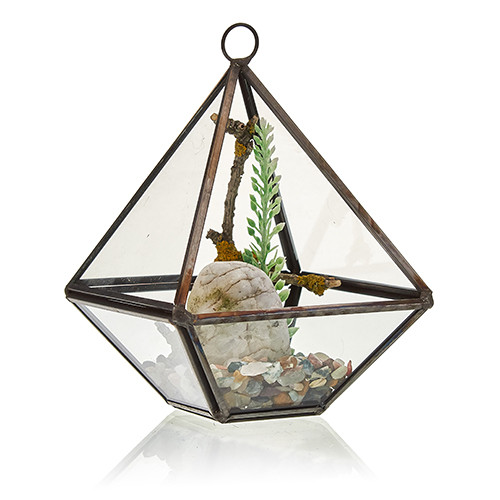 Small Glass Terrarium - Indoor Garden Container for Plants and Microgreens