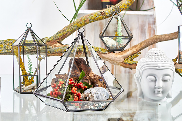 Small Glass Terrarium - Indoor Garden Container for Plants and Microgreens