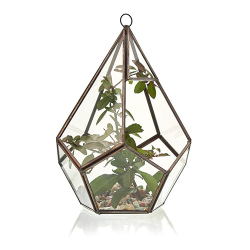 Large Pentagon Glass Terrarium - Spacious Habitat for Plants & Pets