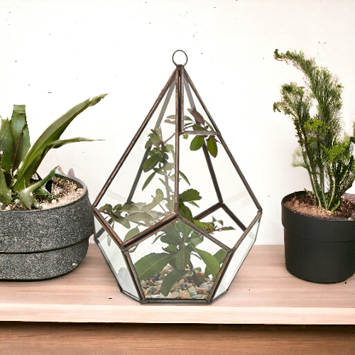 Large Pentagon Glass Terrarium - Spacious Habitat for Plants & Pets