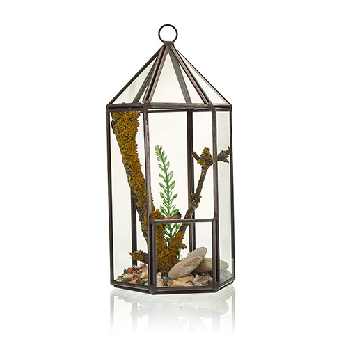 Lantern Shape Glass Terrarium - Durable & Attractive Design - BrandName