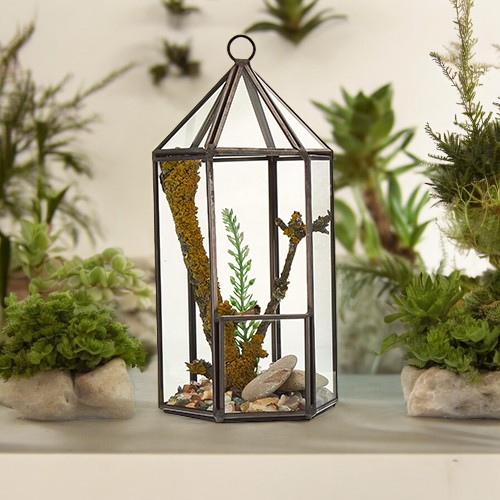 Lantern Shape Glass Terrarium - Durable & Attractive Design - BrandName