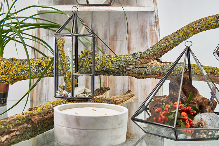Large Octagon Glass Terrarium - Spacious & Stylish Habitat