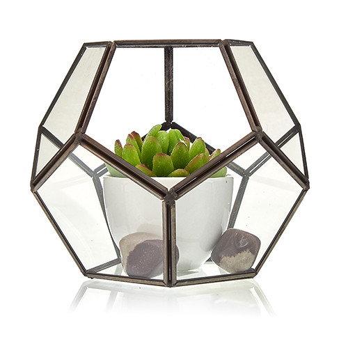 Large Octagon Glass Terrarium - Spacious & Stylish Habitat