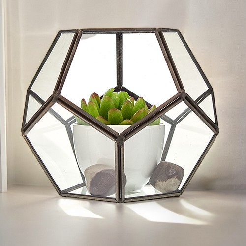 Large Octagon Glass Terrarium - Spacious & Stylish Habitat