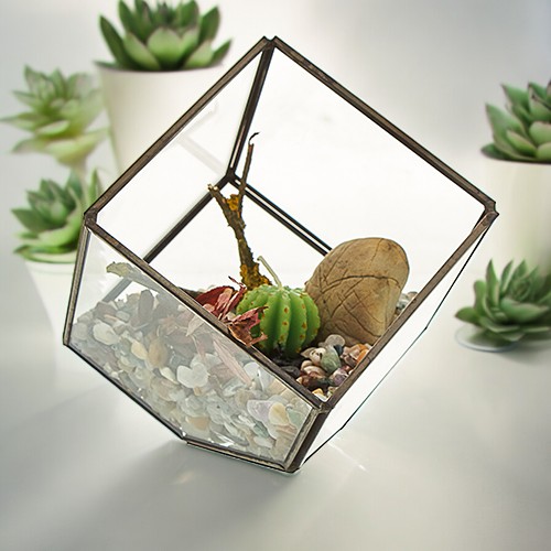 Glass Terrarium - Cube on Corner Planter, Indoor Glass Container for Miniature Gardens and Plants
