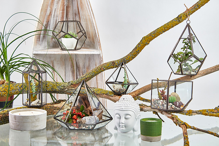 Glass Terrarium - Cube on Corner Planter, Indoor Glass Container for Miniature Gardens and Plants