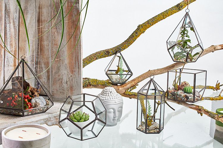 Glass Terrarium - Cube on Corner Planter, Indoor Glass Container for Miniature Gardens and Plants