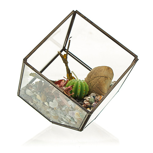 Glass Terrarium - Cube on Corner Planter, Indoor Glass Container for Miniature Gardens and Plants