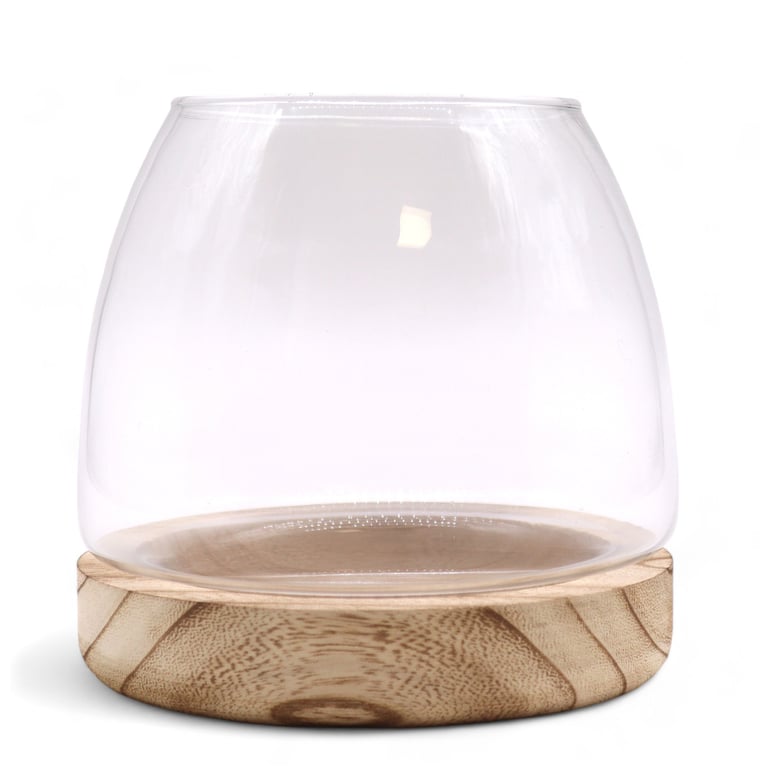 Medium Natural Tung Wood Terrarium on Wooden Stand for Indoor Plant Display