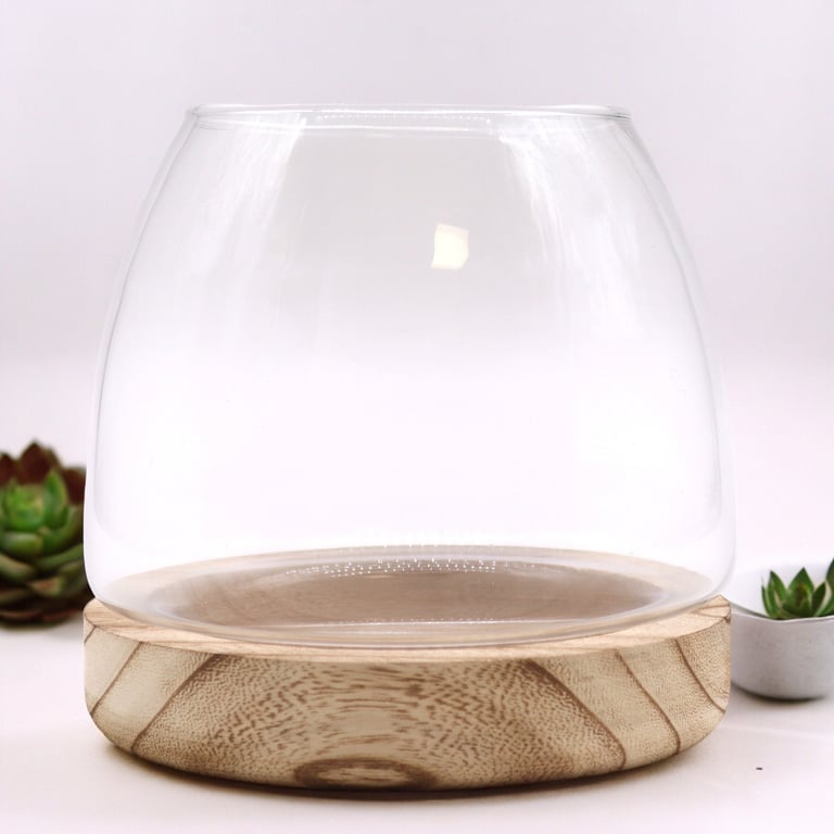 Medium Natural Tung Wood Terrarium on Wooden Stand for Indoor Plant Display
