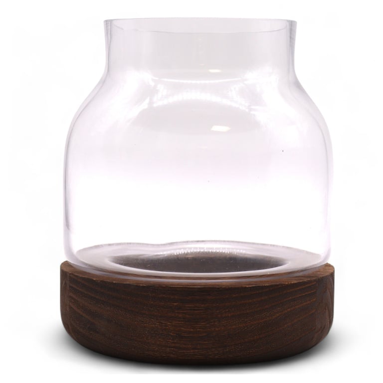 Dark Tung Wood Terrarium (Medium Size) - Ideal for Indoor Plants
