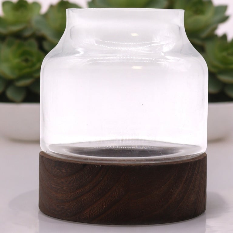 Dark Tung Wood Terrarium (Medium Size) - Ideal for Indoor Plants