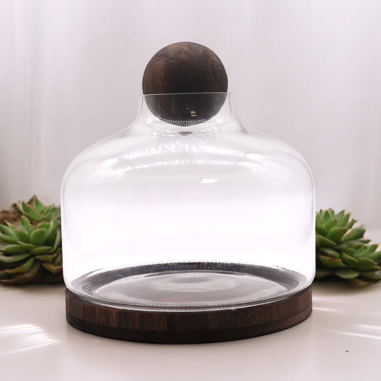 Large Ball Top Terrarium (Dark Tung Wood) - Spacious Habitat for Indoor Plants