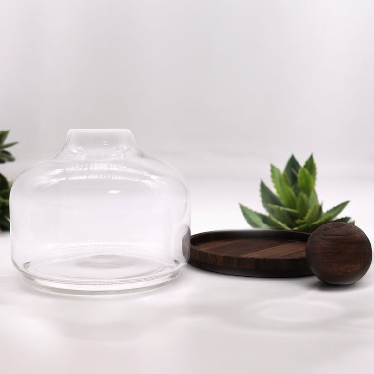 Large Ball Top Terrarium (Dark Tung Wood) - Spacious Habitat for Indoor Plants