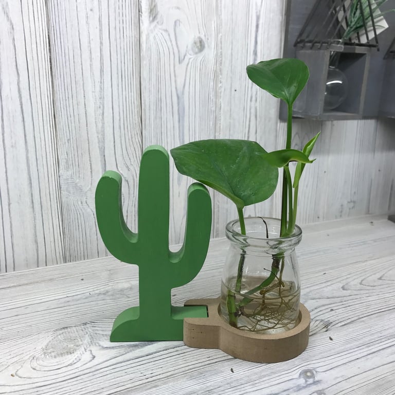 Hydroponic Cactus Planter - Unique Indoor Gardening System for Home Decor