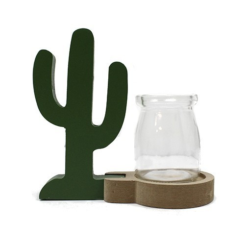 Hydroponic Cactus Planter - Unique Indoor Gardening System for Home Decor