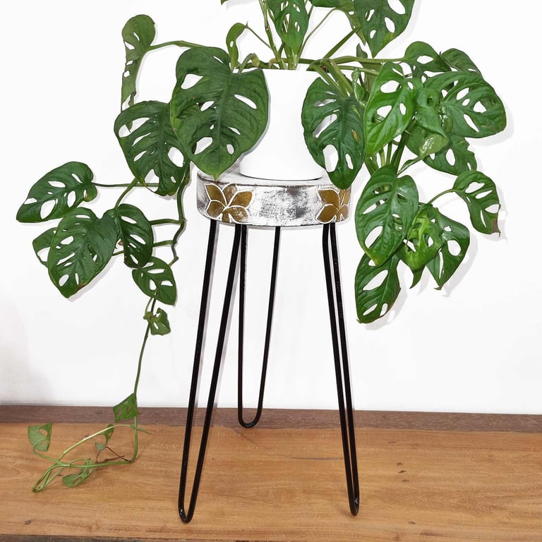 Whitewash Albasia Wood Plant Stand - Sturdy & Elegant