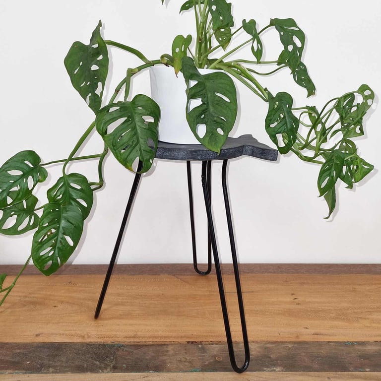 Wood Fish Stand (Greywash) - Albasia Durable Design