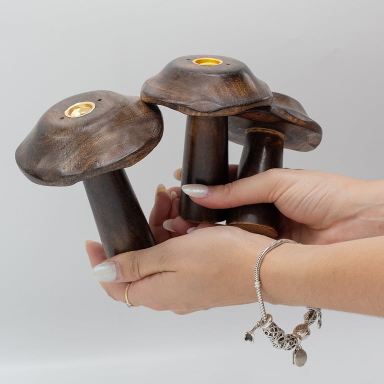 3 Piece Flat Incense Cone Set (Varying Sizes) - Aromatic Mushroom Designs