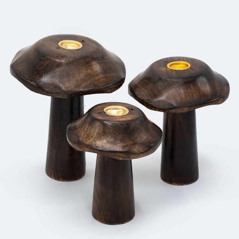 3 Piece Flat Incense Cone Set (Varying Sizes) - Aromatic Mushroom Designs