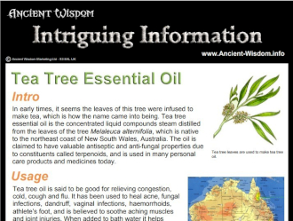 Natural Tea Tree Essential Oil - Pure Antifungal Acne Treatment & Skin Care Solution