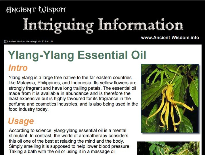 Ylang Ylang Essential Oil - Natural Stress Relief & Relaxation Aromatherapy Oil