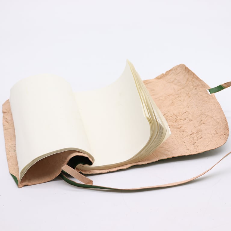 Leather Travel Notebook (96 Pages, 21x15cm) - Green - Premium Quality