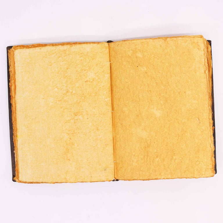 200-Page Decorative Hardcover Book (Zinc Rose Edition) - 26x18cm, Hefty Red Tan Deckle Edges