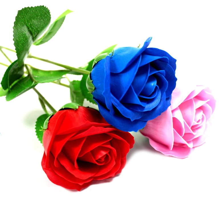 Fresh Cut Single Stem Romantic Red Rose - Beautiful Gift