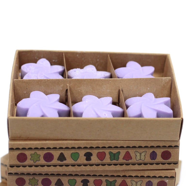 Lavender Fields Box of 6 Relaxing Wax Melts for Home Aromatherapy and Fragrance