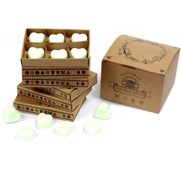 Apple Spice Wax Melts - Home Fragrance Alternative to Scented Candles