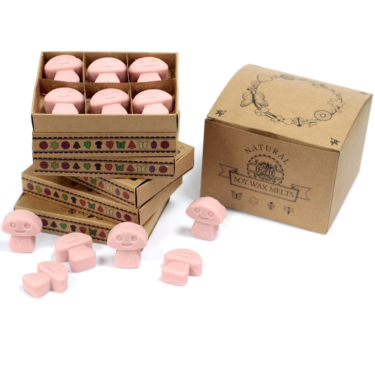 Coffee Trader Box of 6 Scented Wax Melts - Home Fragrance Alternative to Candles