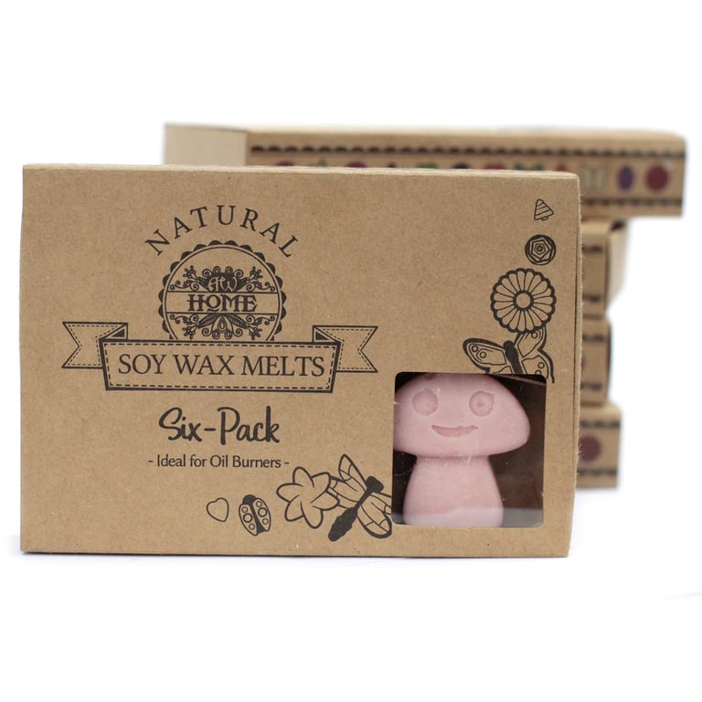 Coffee Trader Box of 6 Scented Wax Melts - Home Fragrance Alternative to Candles