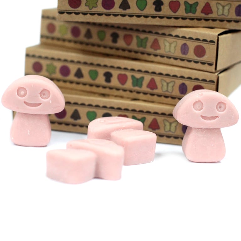 Coffee Trader Box of 6 Scented Wax Melts - Home Fragrance Alternative to Candles