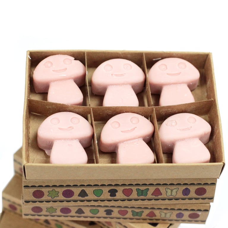 Coffee Trader Box of 6 Scented Wax Melts - Home Fragrance Alternative to Candles