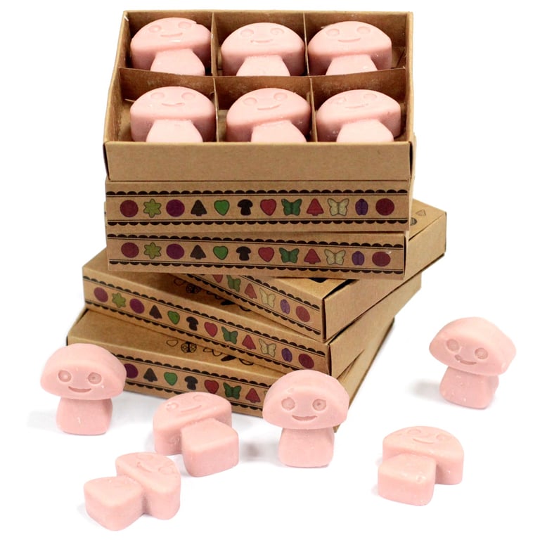 Coffee Trader Box of 6 Scented Wax Melts - Home Fragrance Alternative to Candles