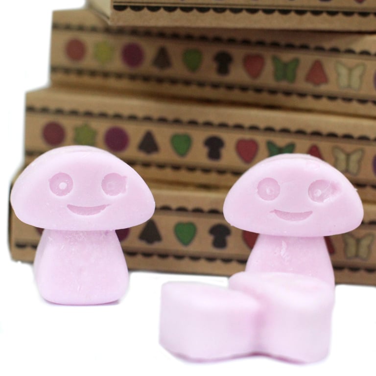 Ylang Ylang Box of 6 Wax Melts - Home Fragrance for a Fresh Ambiance