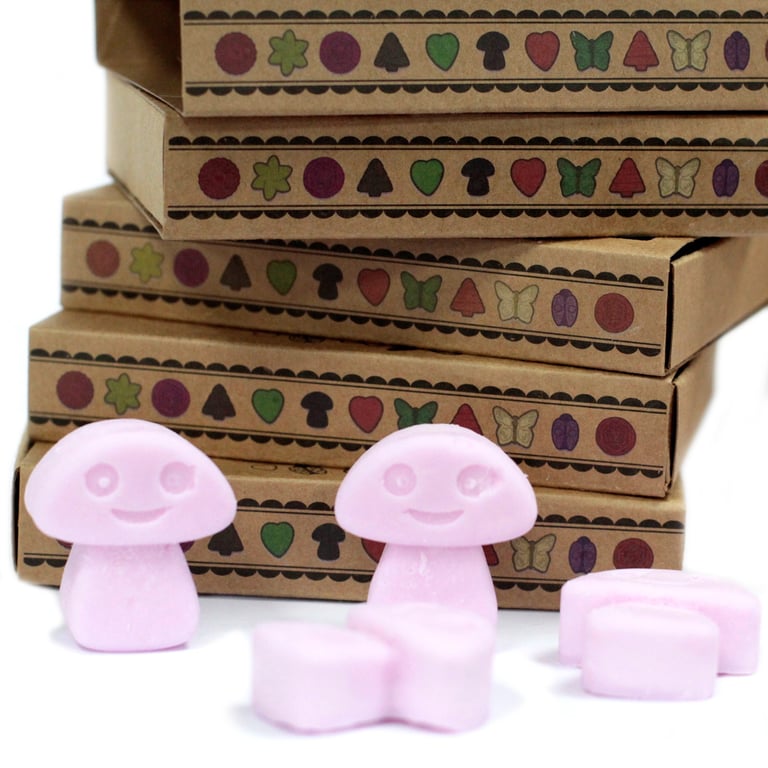 Ylang Ylang Box of 6 Wax Melts - Home Fragrance for a Fresh Ambiance