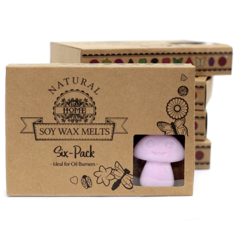 Ylang Ylang Box of 6 Wax Melts - Home Fragrance for a Fresh Ambiance
