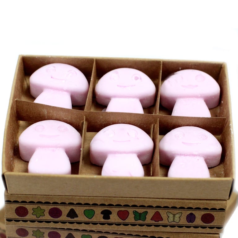 Ylang Ylang Box of 6 Wax Melts - Home Fragrance for a Fresh Ambiance
